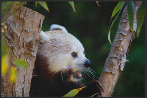 Bild in Slideshow öffnen, Fussmatte Roter Panda 6260-Matten-Welt
