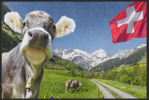 Bild in Slideshow öffnen, Fussmatte Schweiz 4506-Matten-Welt
