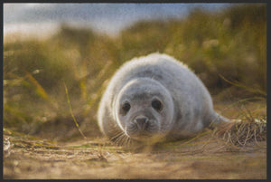 Bild in Slideshow öffnen, Fussmatte Seehund 6088-Matten-Welt
