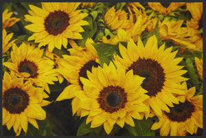 Bild in Slideshow öffnen, Fussmatte Sonnenblumen 4221-Matten-Welt
