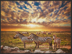 Fussmatte Zebra 4894-Matten-Welt