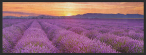 Bild in Slideshow öffnen, Küchenteppich Lavendel 4366-Matten-Welt
